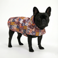 Siyah French Bulldog üzerinde NobleDog renkli karikatür desenli köpek yağmurluğu. Su itici özellikli, cırt cırtlı ve kolay giyilen köpek montu modeli