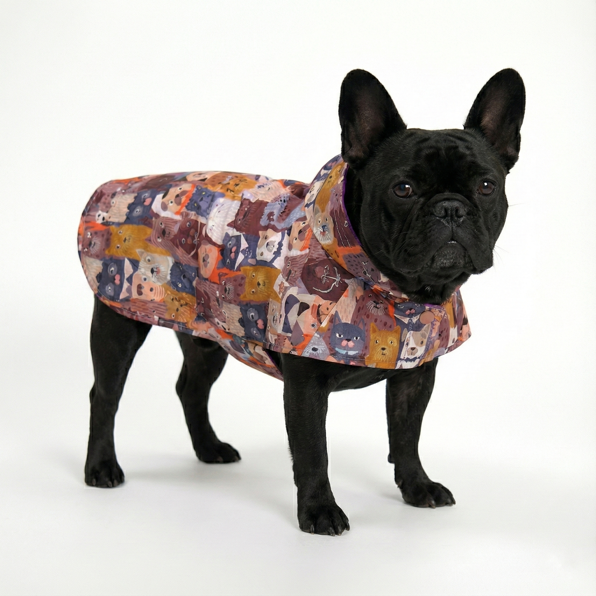 Siyah French Bulldog üzerinde NobleDog renkli karikatür desenli köpek yağmurluğu. Su itici özellikli, cırt cırtlı ve kolay giyilen köpek montu modeli