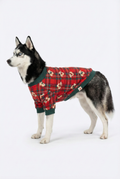 Husky cinsi büyük köpek üzerinde kırmızı ekose ayıcıklı NobleDog sweatshirt.