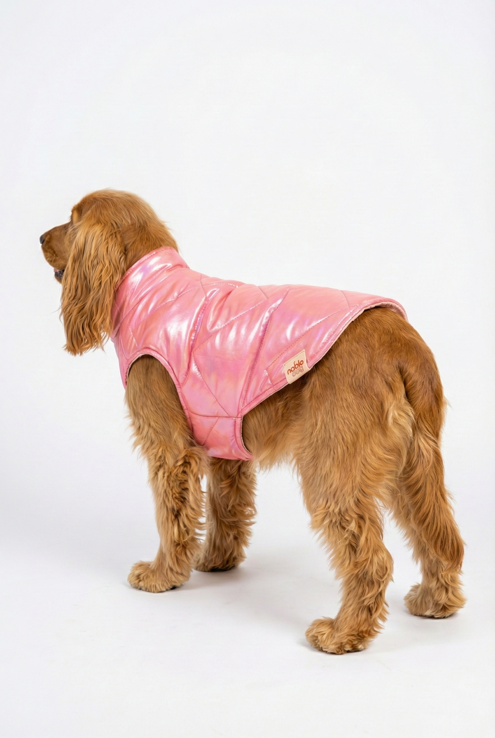 Metalik Pembe Şişme Köpek Yeleği - Su İtici Kışlık Köpek Kıyafeti