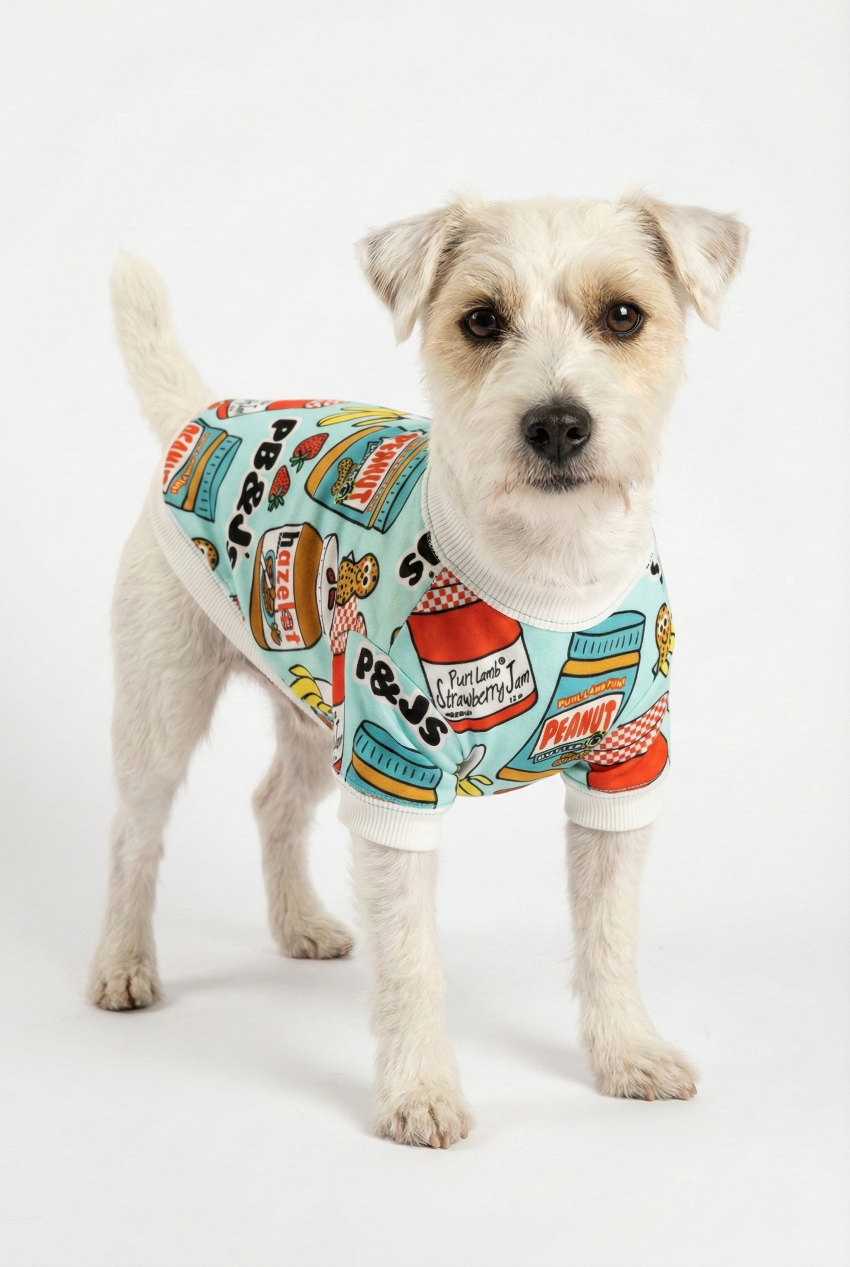 NobleDog Mavi Desenli Tişört Giyen Köpek Manken - Rahat Kesim Yazlık Köpek Kıyafeti Duruşu