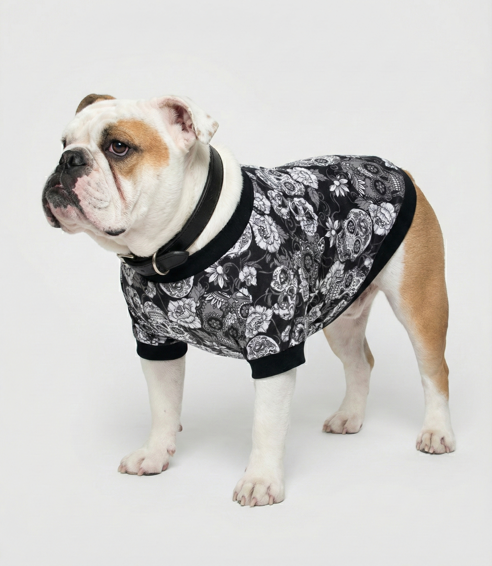 İngiliz Bulldog üzerinde siyah kuru kafa desenli NobleDog köpek tişörtü.