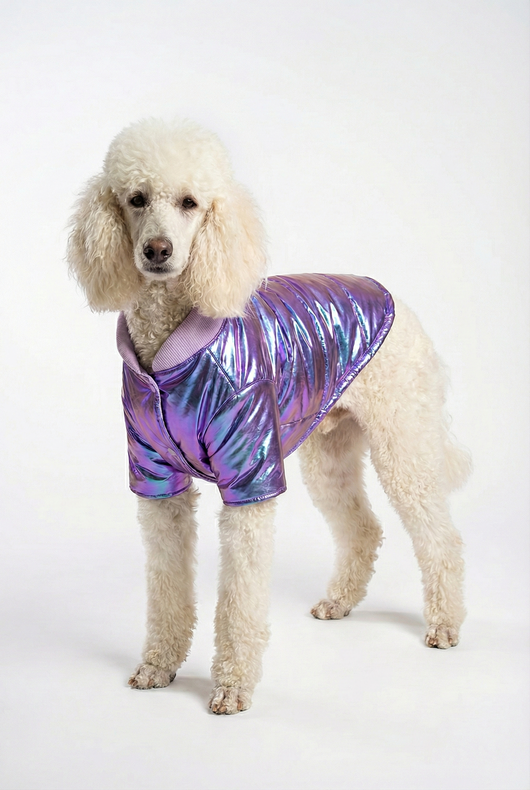 Holografik Mor Köpek Montu | Metalik & Parlak Kışlık Ceket