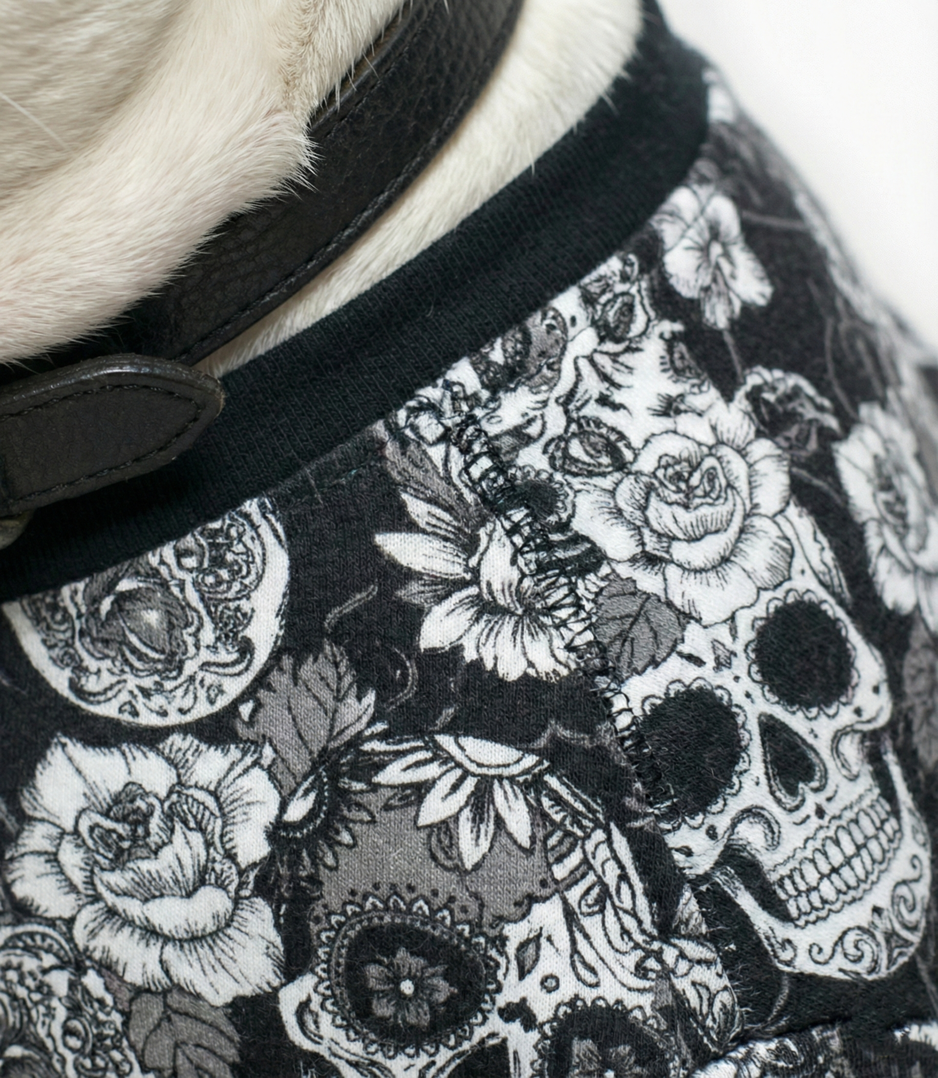 Siyah zemin üzerine beyaz kuru kafa ve gül desenli köpek kıyafeti kumaş detayı.