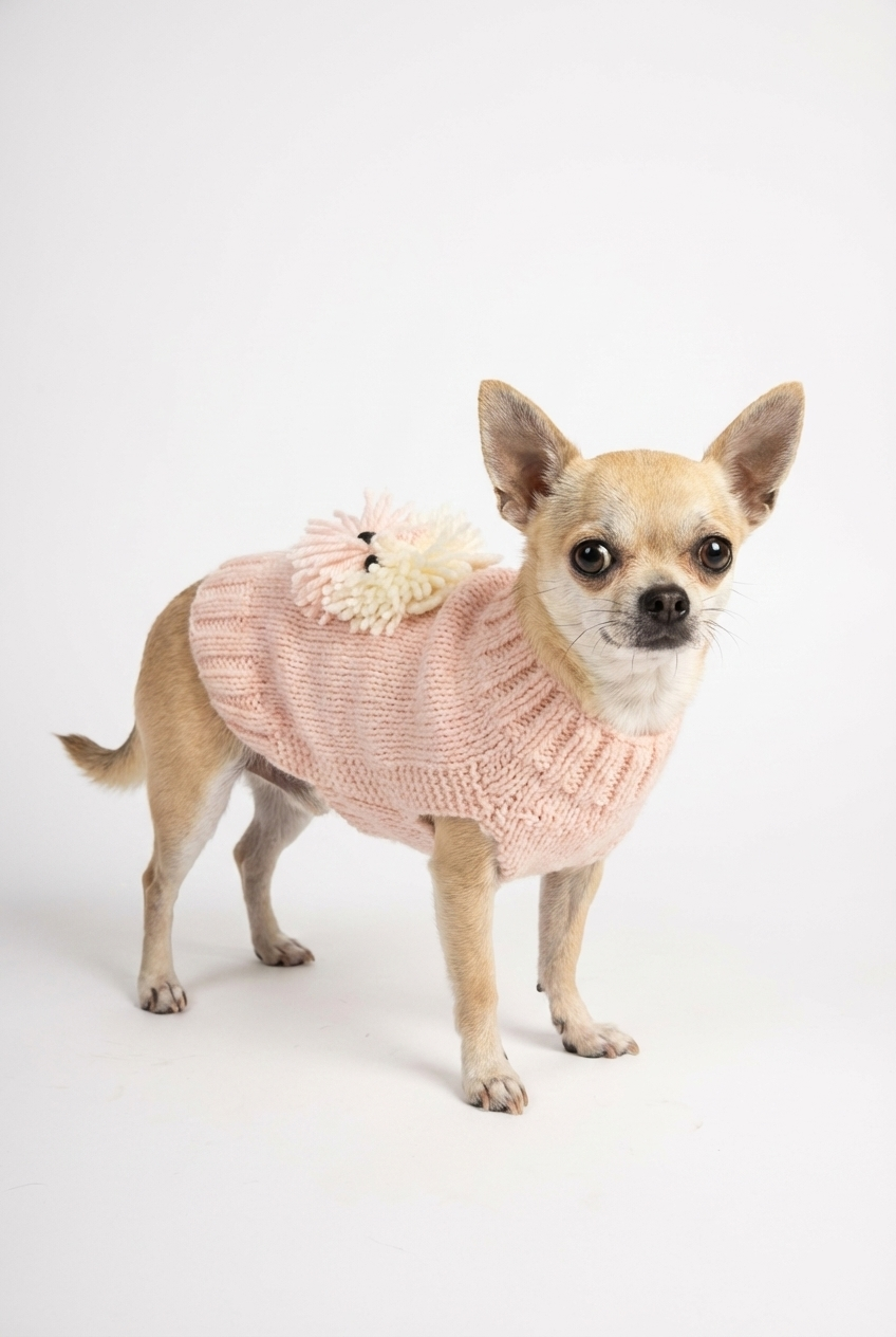 Sevimli Aslan Detaylı Köpek Süveteri | Sıcak Tutan Örgü Kazak