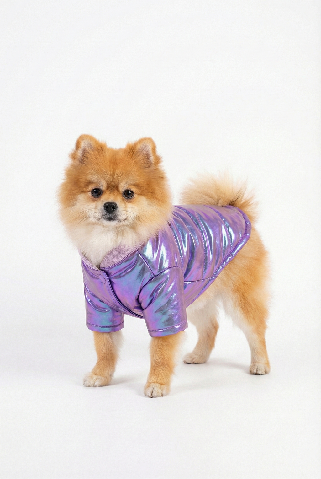 Holografik Mor Köpek Montu | Metalik & Parlak Kışlık Ceket