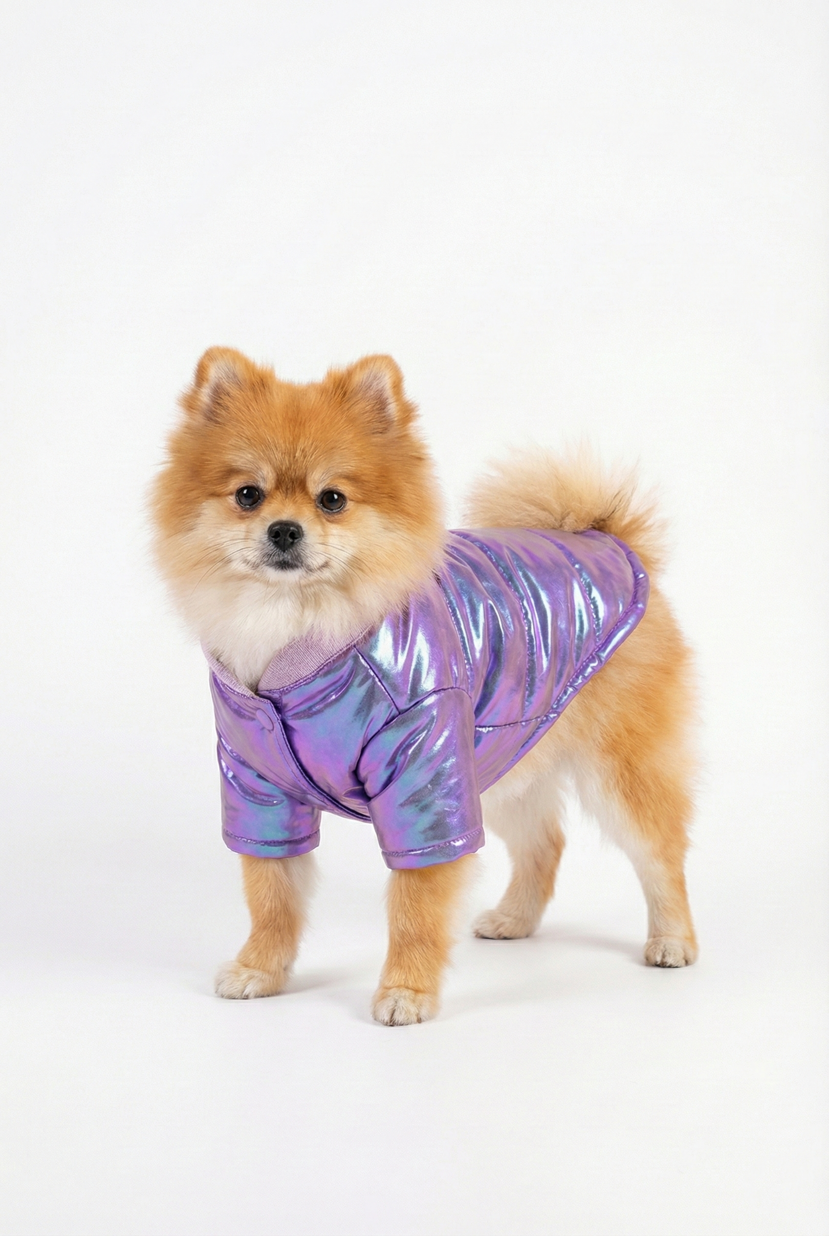 Holografik Mor Köpek Montu | Metalik & Parlak Kışlık Ceket