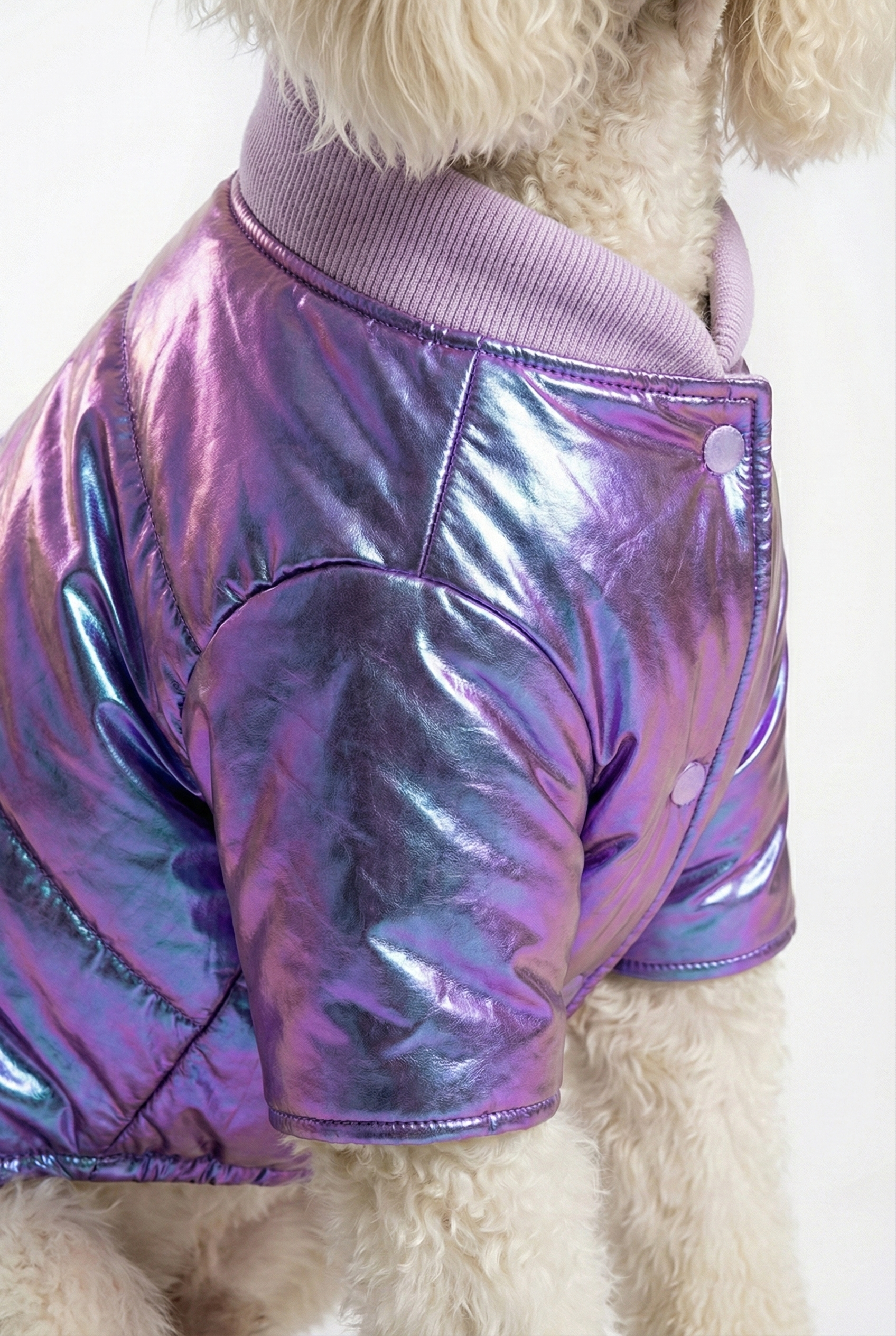 Holografik Mor Köpek Montu | Metalik & Parlak Kışlık Ceket