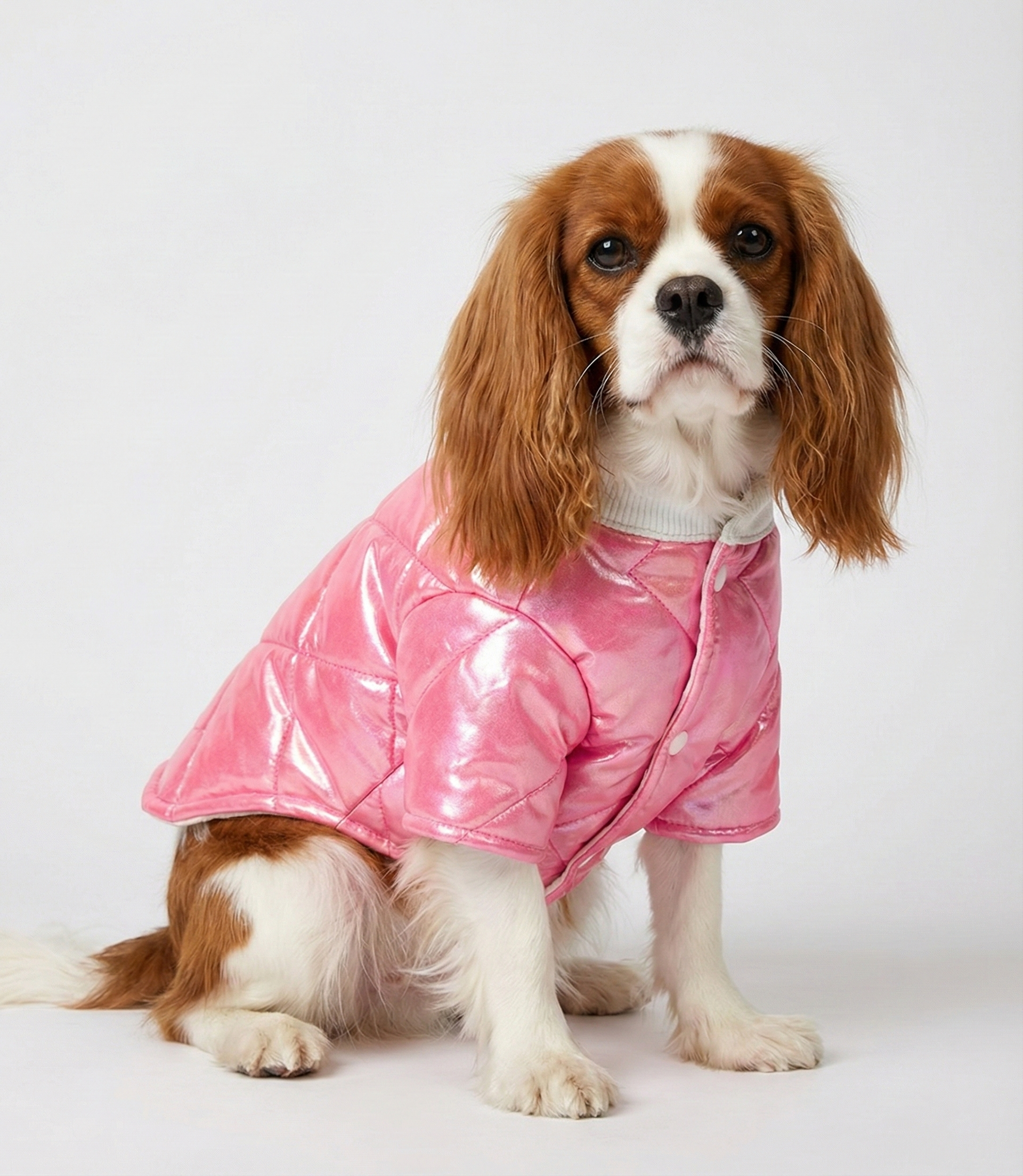 Holografik Metalik Pembe Köpek Montu - İçi Polarlı Çıtçıtlı Kışlık Köpek Kıyafeti