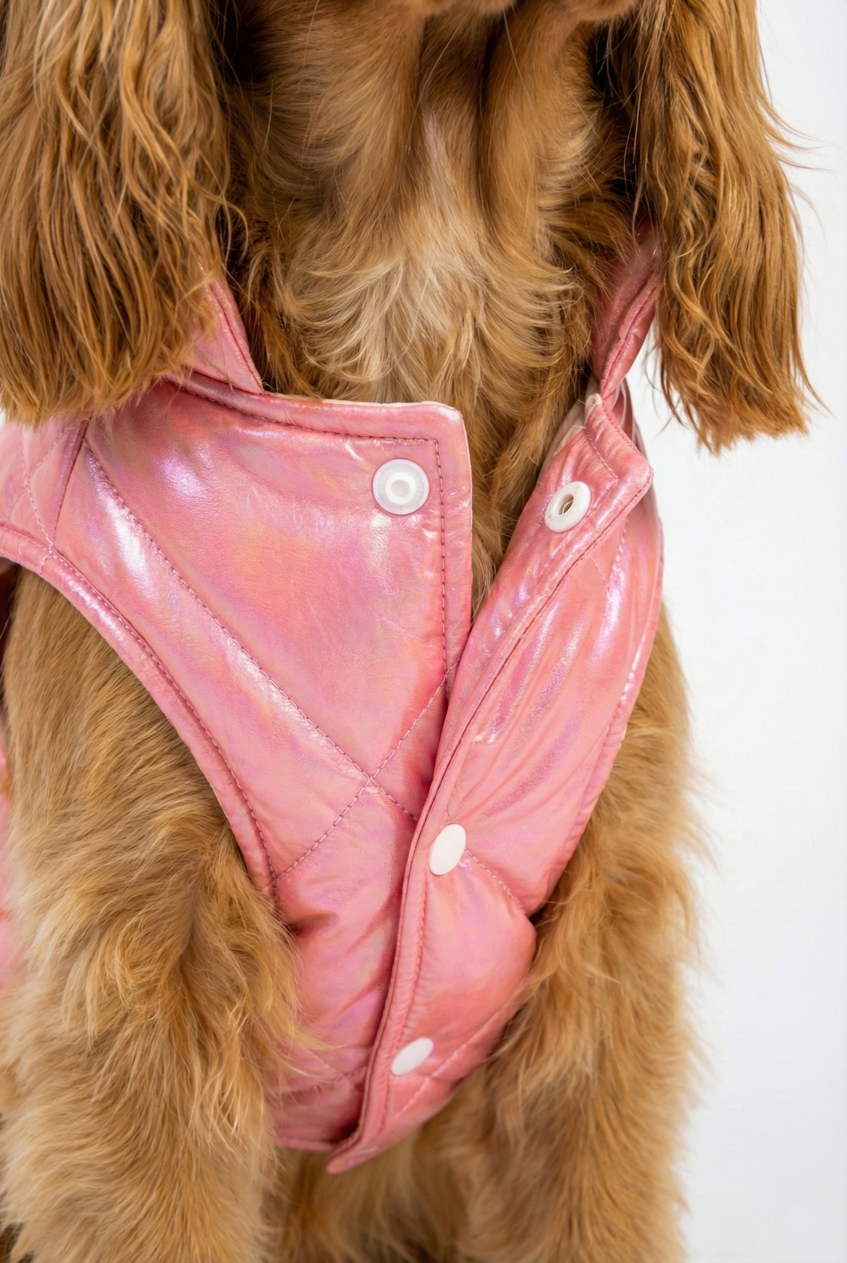 Metalik Pembe Şişme Köpek Yeleği - Su İtici Kışlık Köpek Kıyafeti