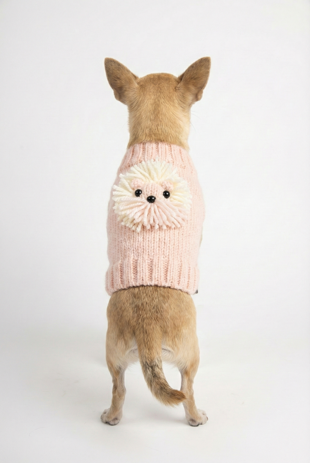 NobleDog pembe örgü köpek kazağı, arkasında üç boyutlu aslan figürü ve püskül detayı ile Chihuahua üzerinde duruşu