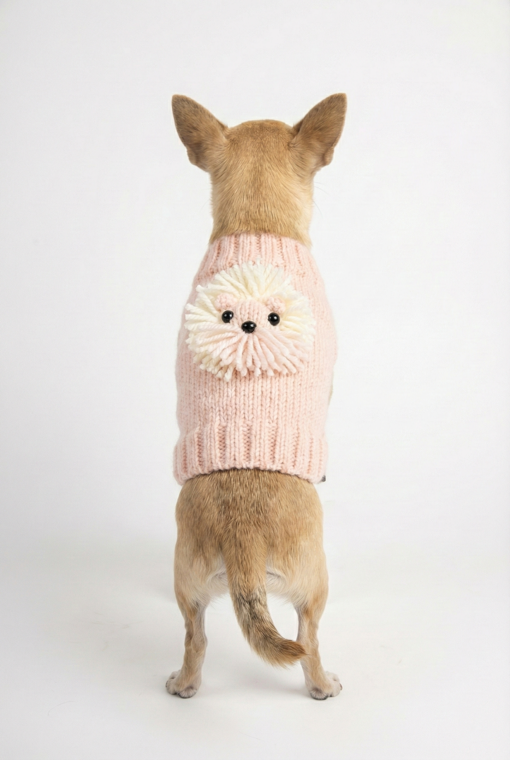 NobleDog pembe örgü köpek kazağı, arkasında üç boyutlu aslan figürü ve püskül detayı ile Chihuahua üzerinde duruşu