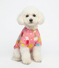 NobleDog Dondurma Desenli Pembe Köpek Tişörtü giyen beyaz Toy Poodle - Önden Görünüm