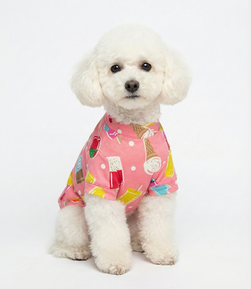 NobleDog Dondurma Desenli Pembe Köpek Tişörtü giyen beyaz Toy Poodle - Önden Görünüm